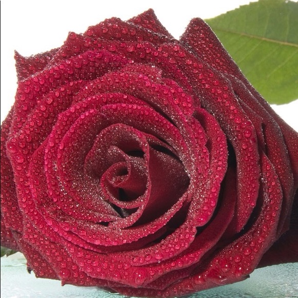 Meet your Posher, Kayla - Picture 1 of 1